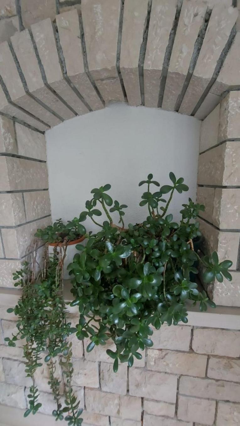 Apartment Brane Bol Bagian luar foto